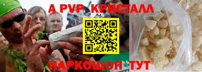 прущие грибы Гатчина