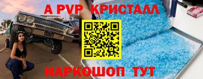 прущие грибы Гатчина