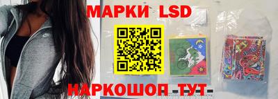 прущие грибы Гатчина
