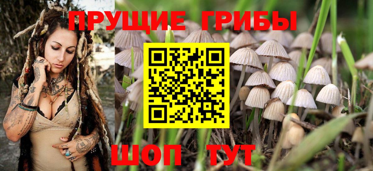 Галлюциногенные грибы Cubensis Дивногорск