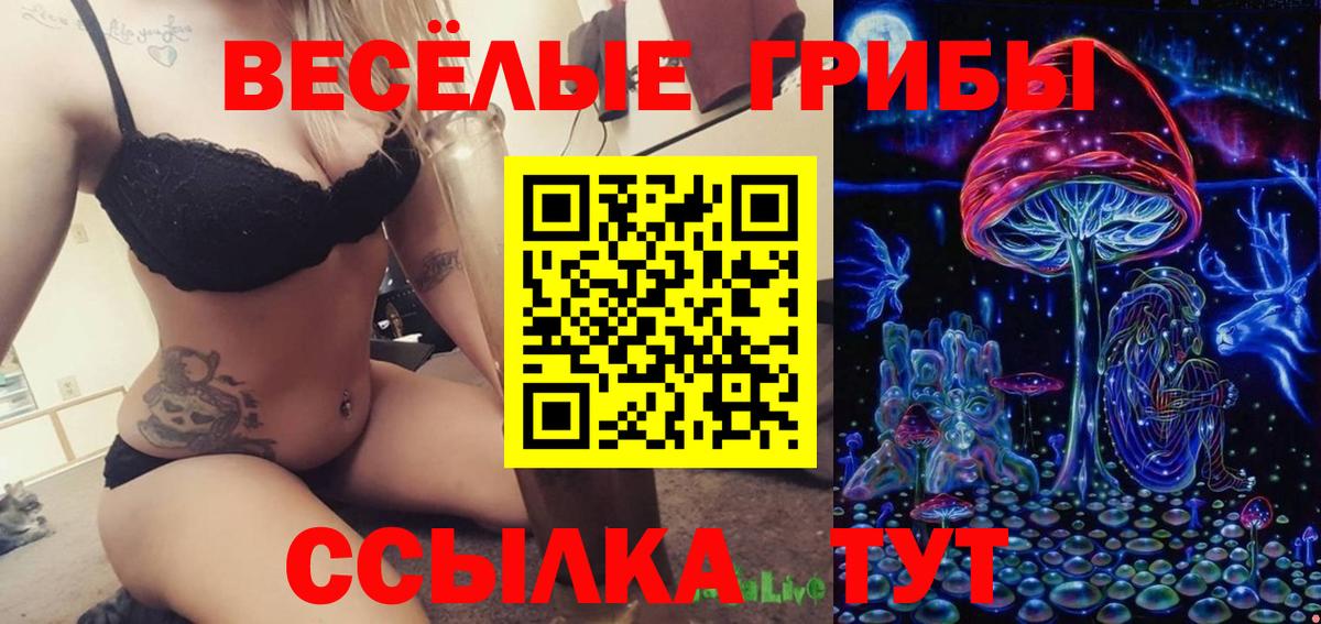 Дивногорск  купить   Вход с VPN  Псилоцибиновые грибы мицелий  Галлюциногенные грибы Magic Shrooms 