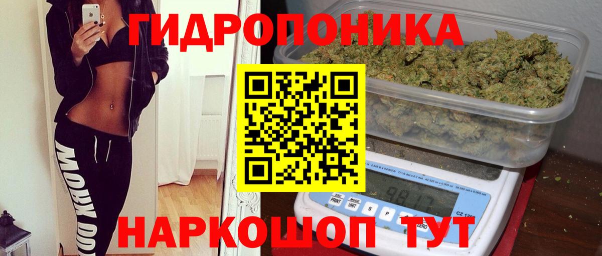 Каннабис конопля  Вход с VPN  Дивногорск  МАРИХУАНА ГИДРОПОН 